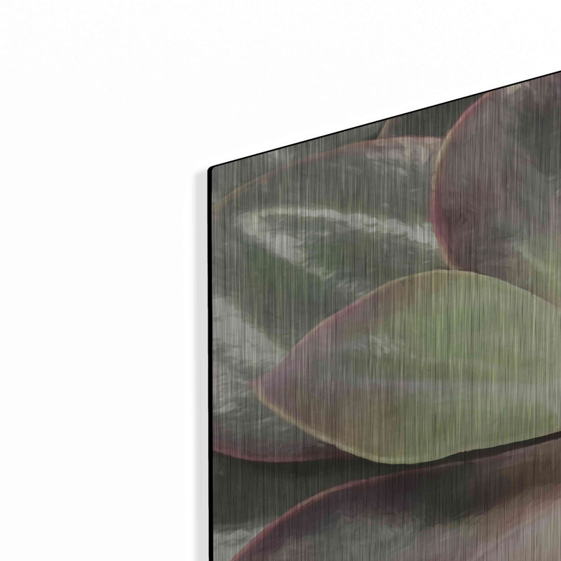 «Glowing Succulent I» par Lori Deiter, H 24 po x l 36 po