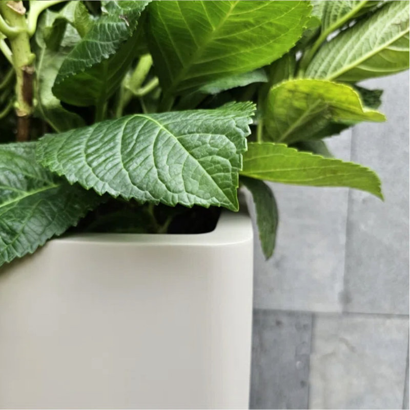 Pot à fleurs cubique H11,5 po intérieur / extérieur Kute Nest - Humeur éthérée - ouverture de pot 9 po, Taupe