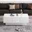 Damarys Pedestal Coffee Table with Storage