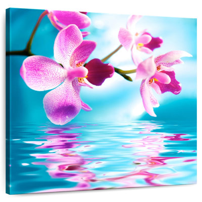 Harnek Orchid Ripple
