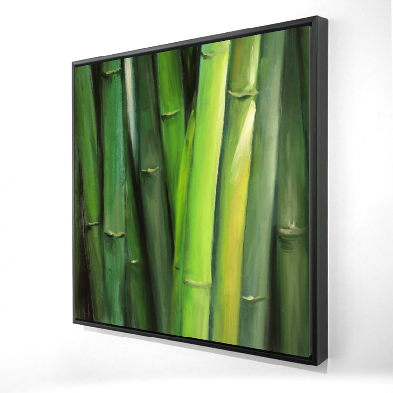 Bamboo Plant - Living Green