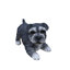 Statue Schnauzer