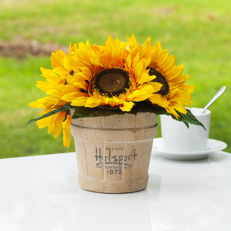 Arrangement de tournesol en pot