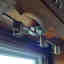 Photos des clients 2 de 2
