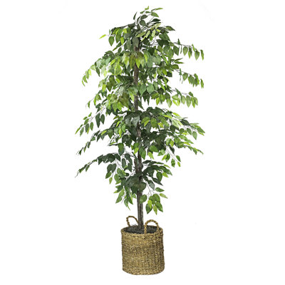 Ficus artificiel 72 po dans un panier