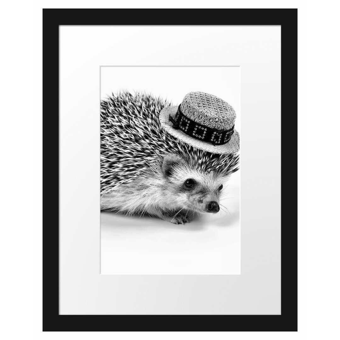 Gerahmtes Poster Lustiger Igel mit Hut