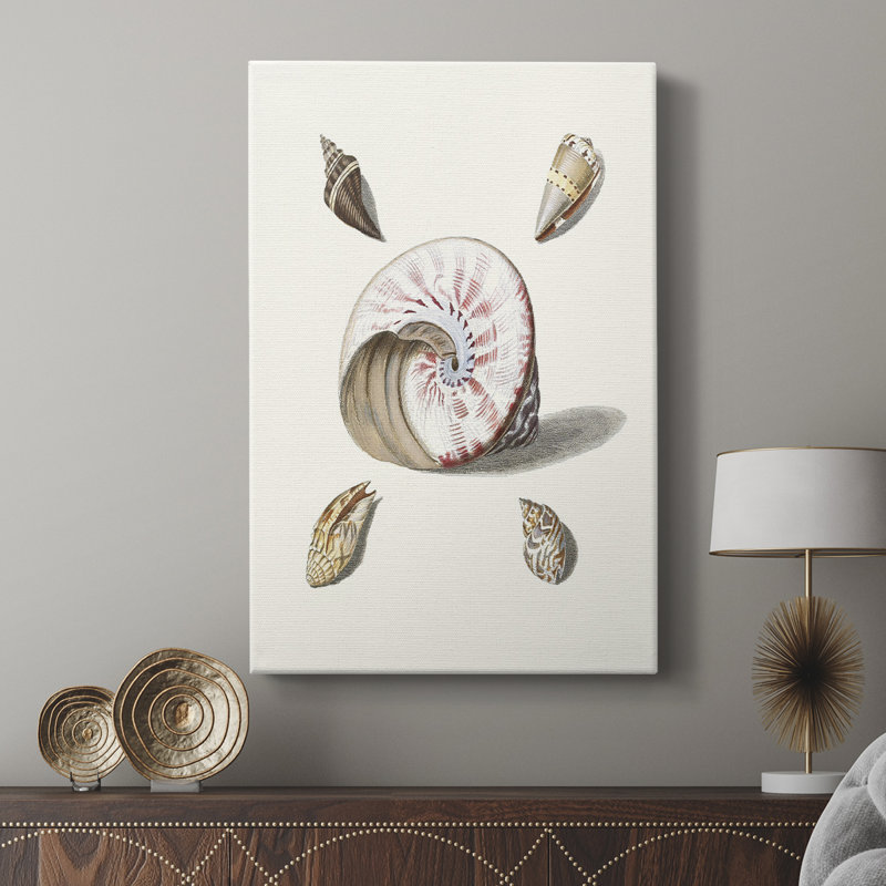 Pastel Knorr Shells II - galerie Cavas sur mesure, H 27 po x l 18 po