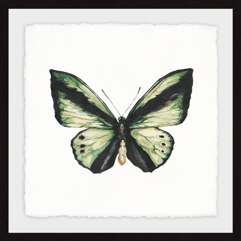 Vert forêt-papillon-impression sur papier, H 24 po x l 24 po