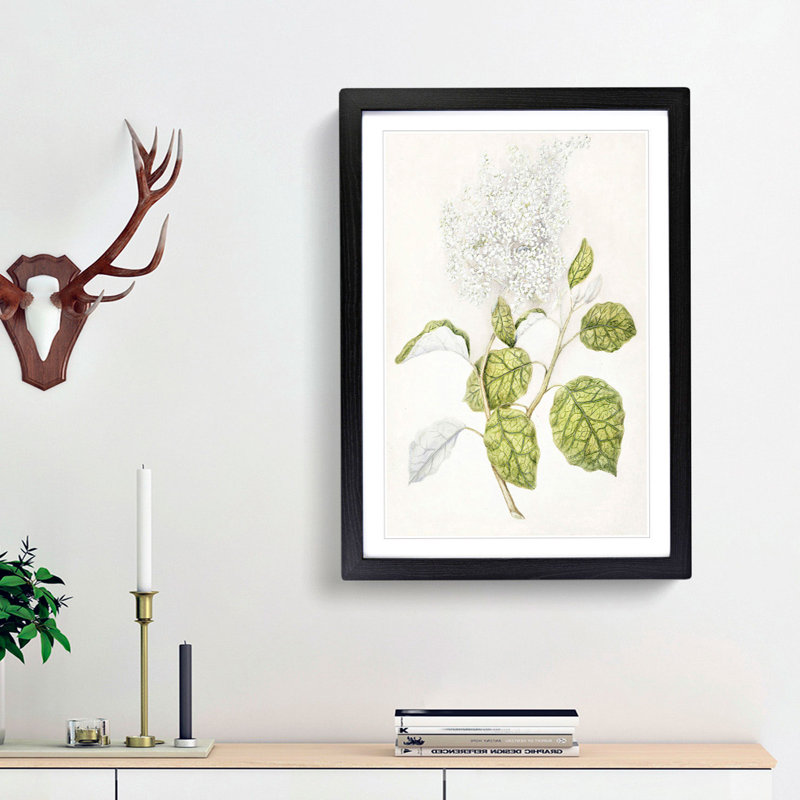 Rangiora Flowers by Sarah Featon - Framed Print, 36cm H x 27cm W x 2cm D, Black Framed