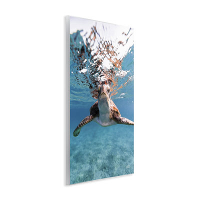 «Hello Sea Turtle Splash», art mural par Max Blakesberg Studios