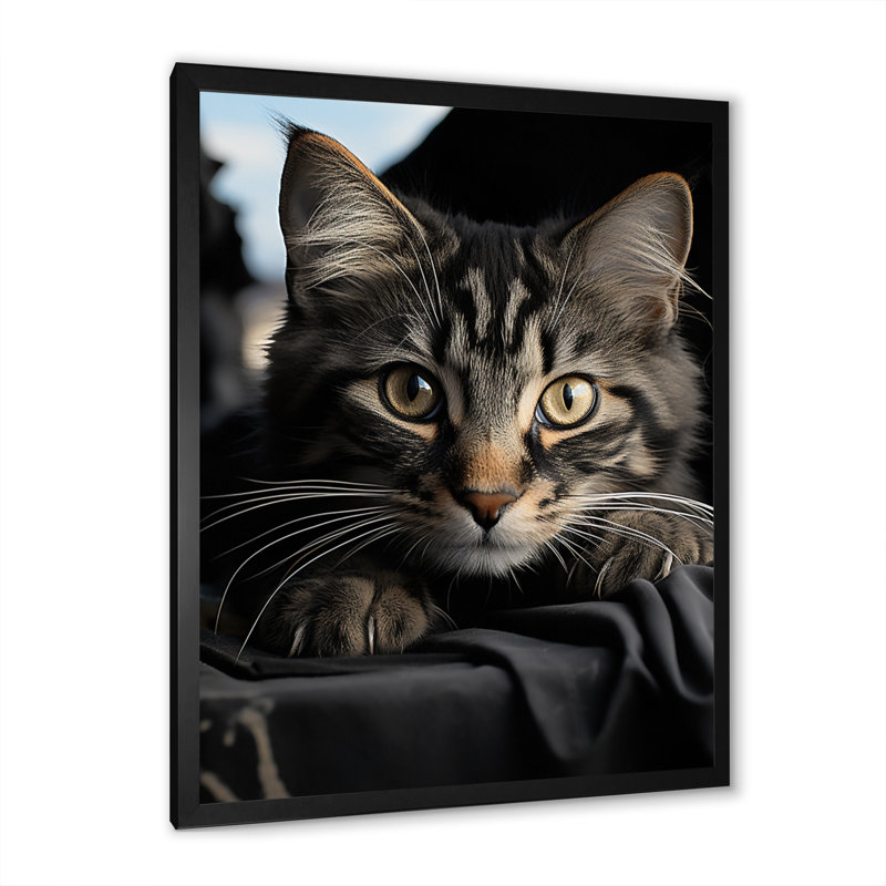 Portrait de chat Atascosa IV - reproduction, Cadre photo noir, H 20 po x l 12 po x P 1 po