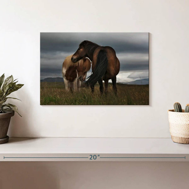 Poney gratuit Brampt, H 8 po x l 12 po