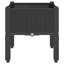 Omaida Planter Box-1560627344