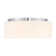 Edgemont 4-Light Ceiling Light