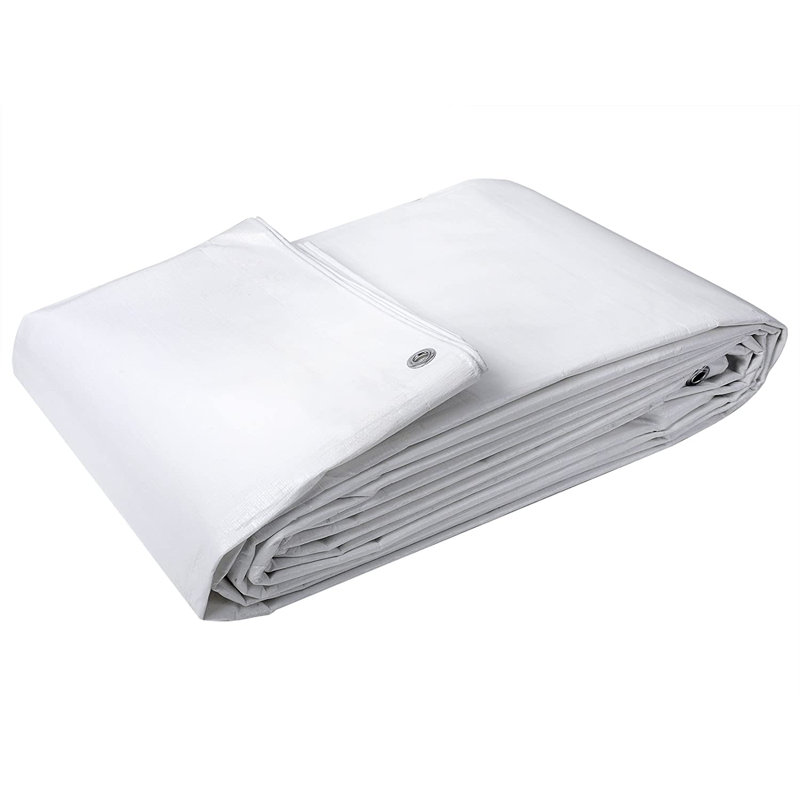 Napanoch Automobile Cover, White, 0.2cm H x 400cm W x 800cm D