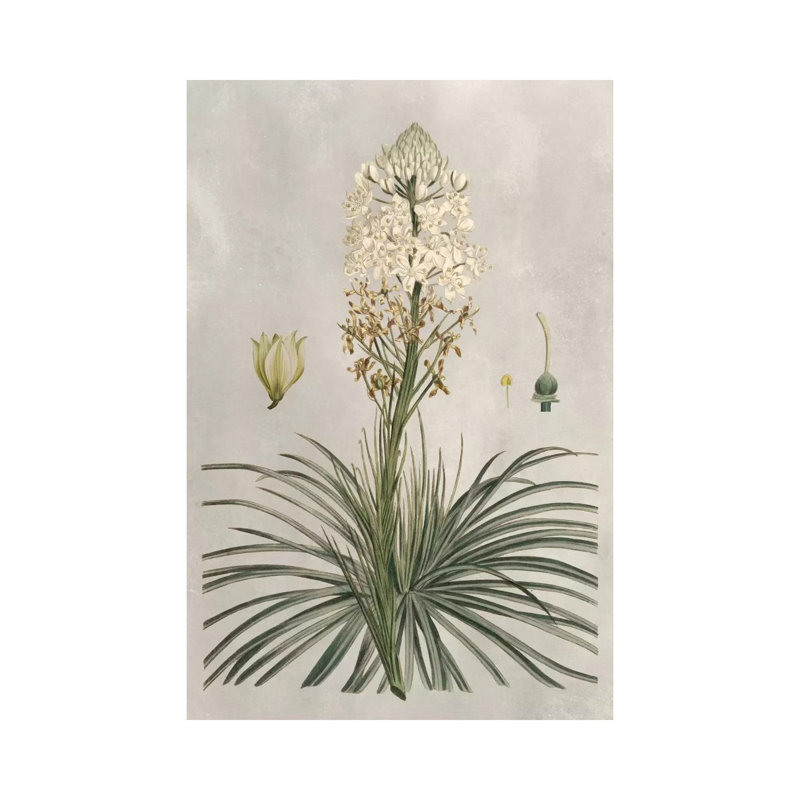 Tropical Varieties III by Pancrace Bessa - Wrapped Canvas Print, 20.32 cm H x 30.48 cm W