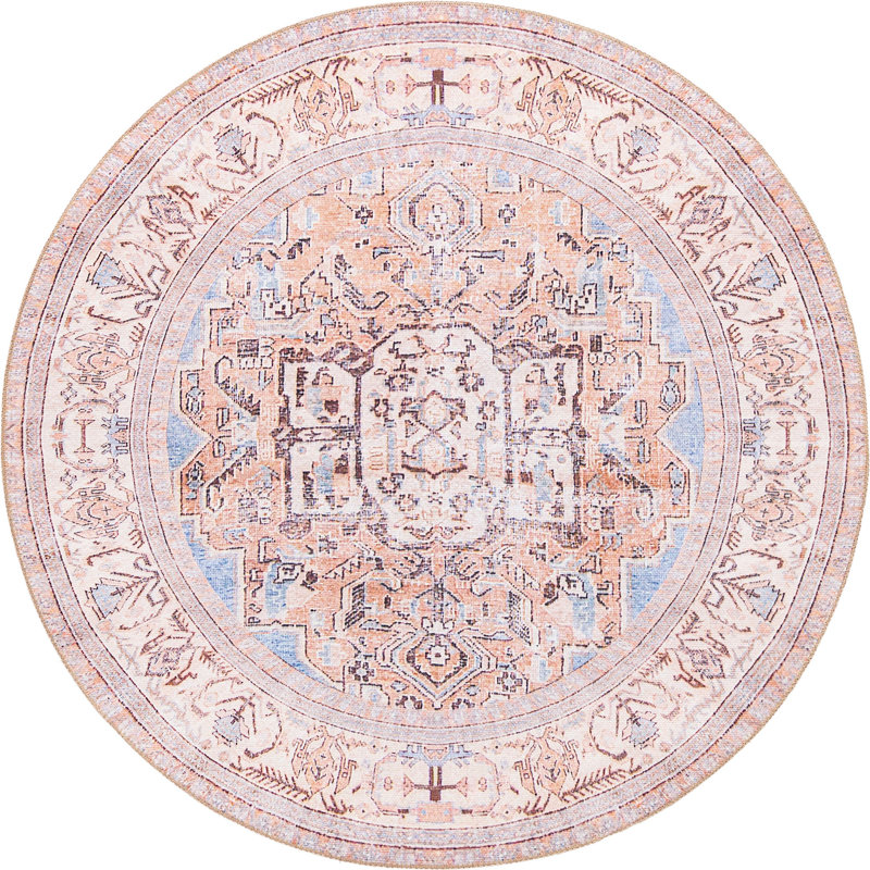Mcclamma Chenille Oriental Indoor Rug, Round 5'