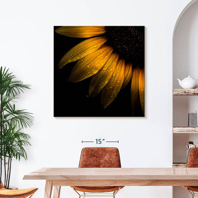 Sunflower Petals Canvas Print
