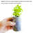 Viagrow Growing Kit
