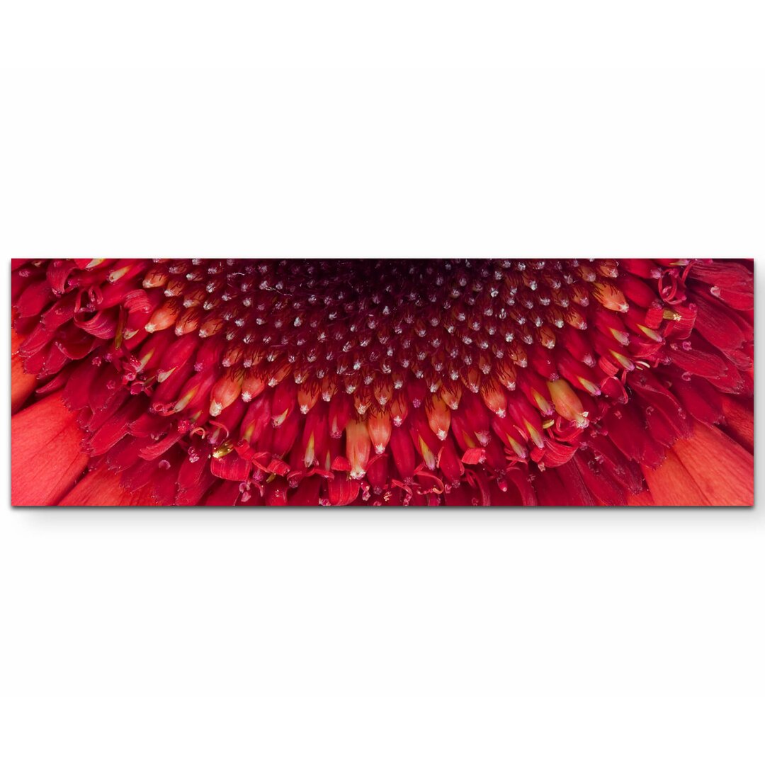 Leinwandbild Wunderschöne rote Gerbera – Nahaufnahme