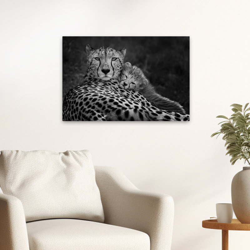 Poreider - Peaceful Moment, photographie d'art animalier en noir et blanc, H 24 po x l 16 po