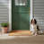 Spaniels