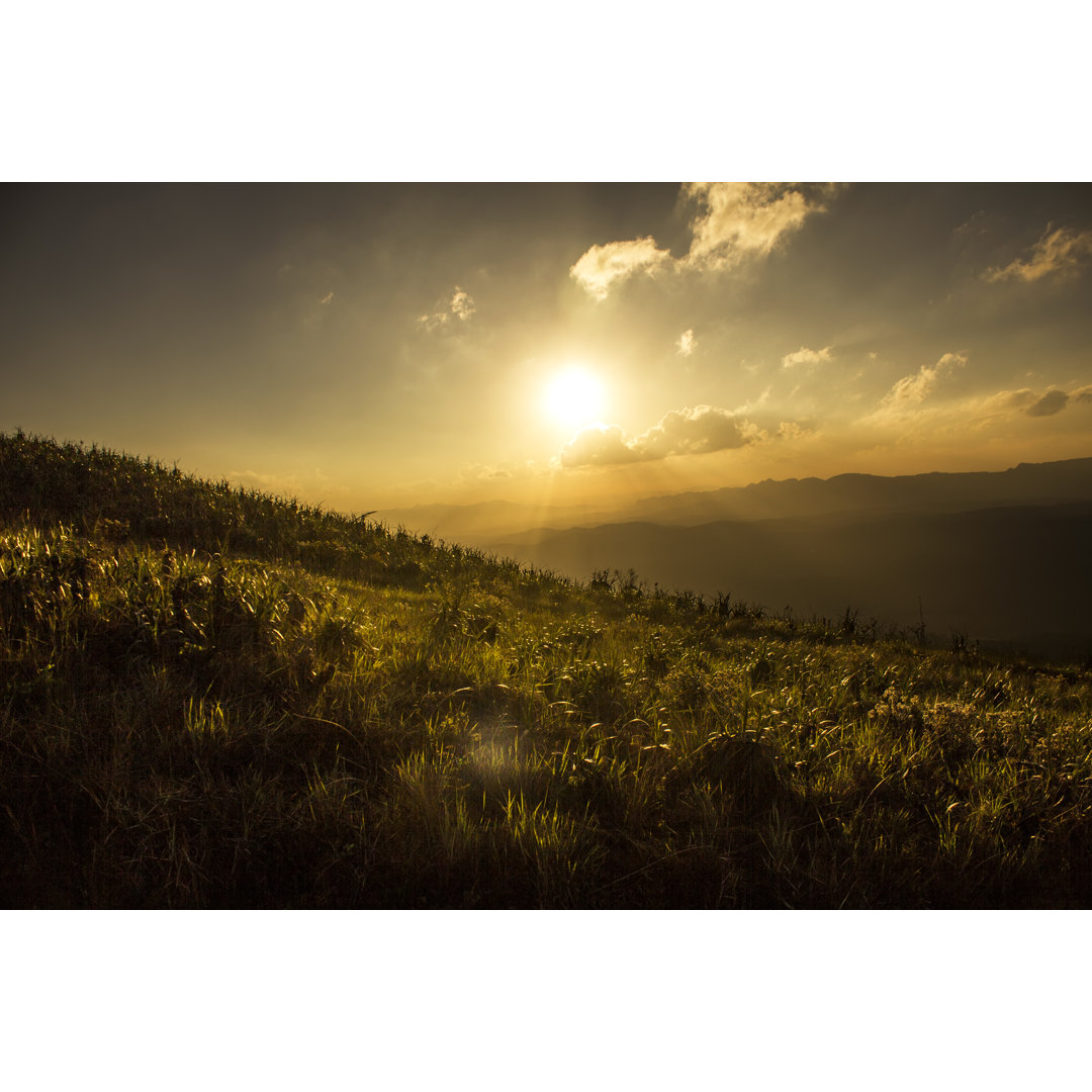 Goldenes Feld bei Sonnenuntergang in Minas Gerais, Brasilien von MaFelipe - Kunstdrucke ohne Rahmen auf Leinwand