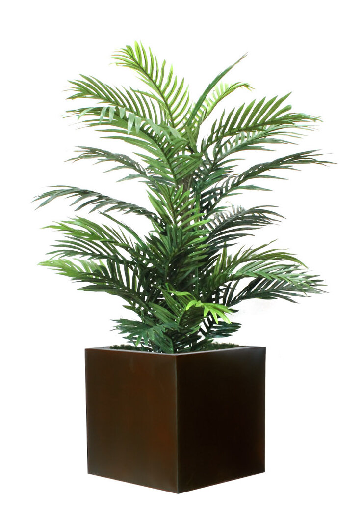 Bayou Breeze Artificial Palm Plant in Planter | Wayfair