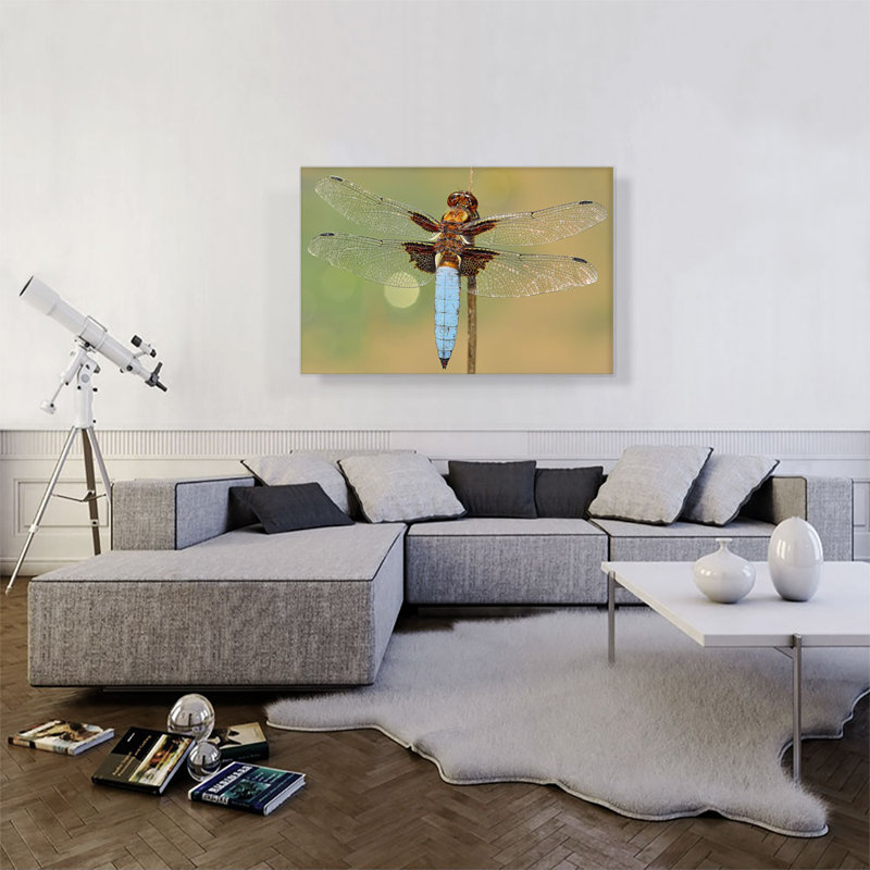 Dragonfly Home Decor - Reproduction de photo sur toile tendue, H 26 po x l 40 po x P 0,75 po