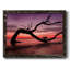 Photographie, étude, coucher de soleil, plage, reproduction encadrée sur toile-96281124-96281123