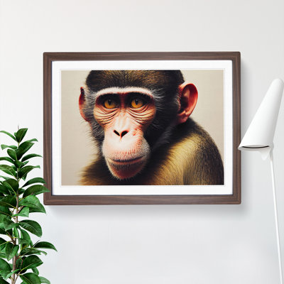 Monkey - Framed Print