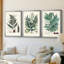 Collectionner Ferns VI - Toile tendue avec châssis sur mesure - 3 pièces-1943549601-1943549605