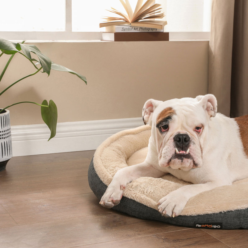 Orthopedic Polyester Pet Bed, Grey, 12cm H x 75cm W x 75cm D
