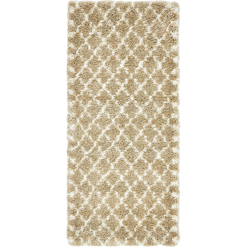 Burkart Shag Area Rug, Runner 79 x 183cm