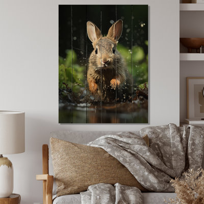 " Rabbit Energetic Hopper "
