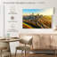 Golden Houston Highway-387585045-387585052