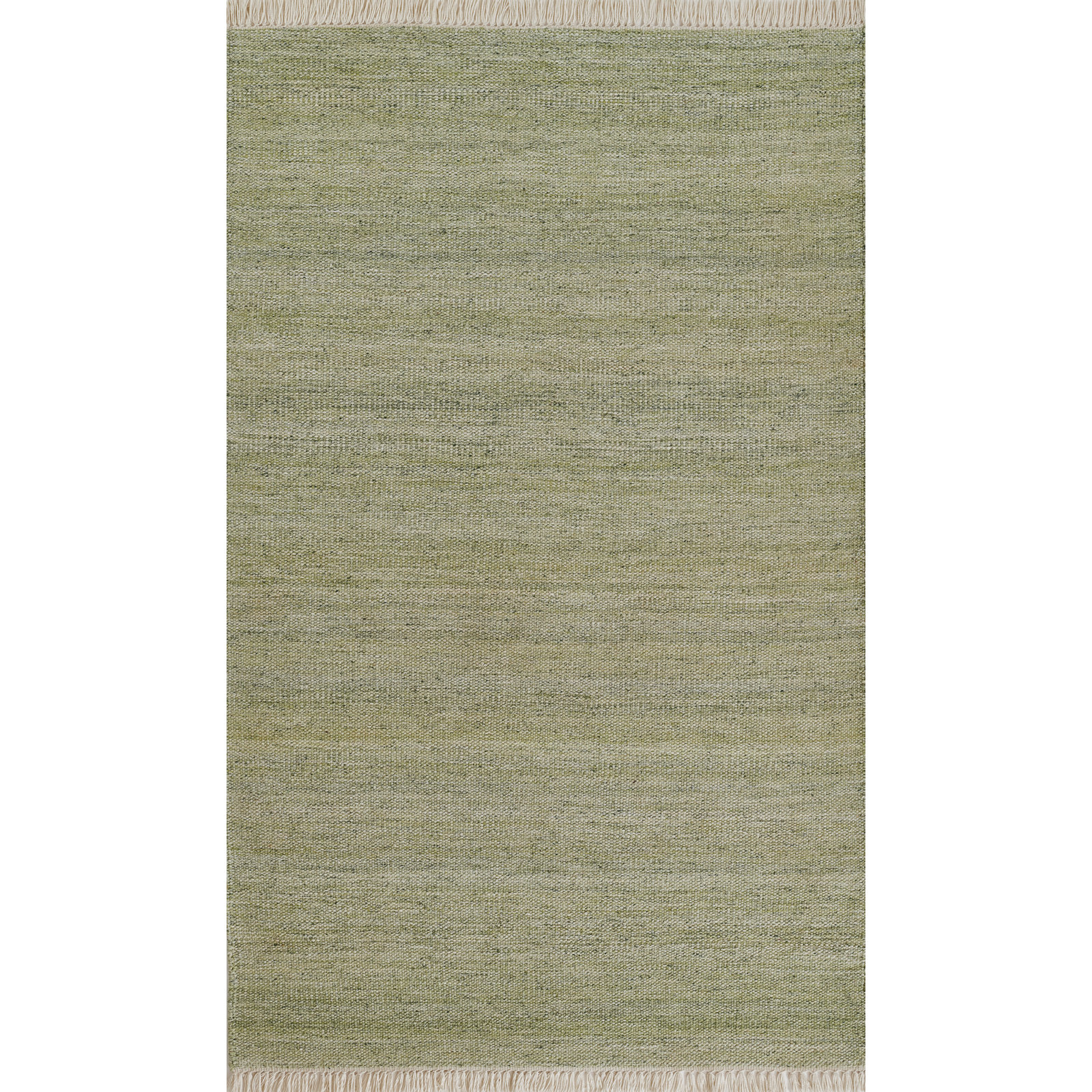 Cassandra Handwoven Indoor/Outdoor Area Rug in Green, Rectangle 9' x 12'