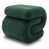 Ours en peluche vert