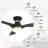 Ekam 52'' Ceiling Fan with LED Lights