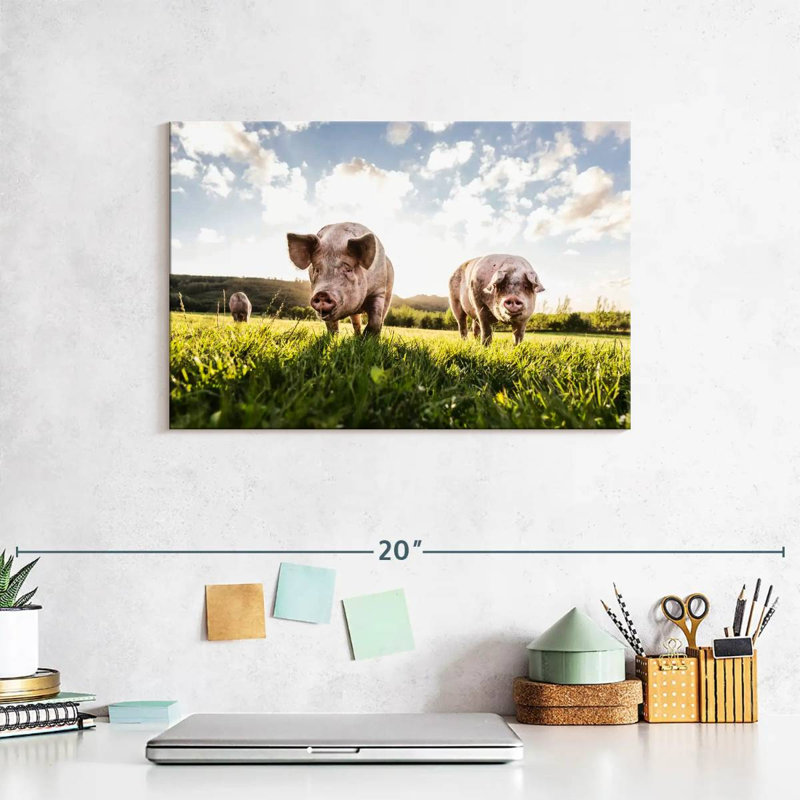 Crowle Sunny Meadow Pigs, 8" H x 12" W