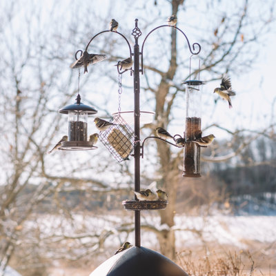 Station d'alimentation d'oiseaux Premium 