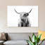 Bairdstown Portrait Of A Highland Cow by Dorit Fuhg - Print on Canvas-56675868-69052725