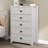 Isenbert Crissman 5 Drawer Dresser-121612412