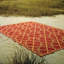 Hand-Knotted High-Quality Red and Gold Area Rug
