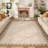 Area Rugs for Living Room Washable Rugs Non Slip Stain Resistant Bordered CarpetFoldable Rugs for BedroomDining RoomNursery-1091369609-1091369614