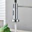 Belfry Kitchen Rydal Pull Down Kitchen Faucet