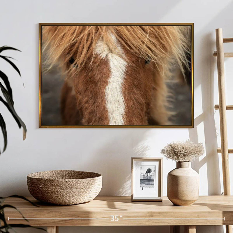 Gros plan d'un cheval Islandais, Cadre flottant doré, 25 po x 17 po