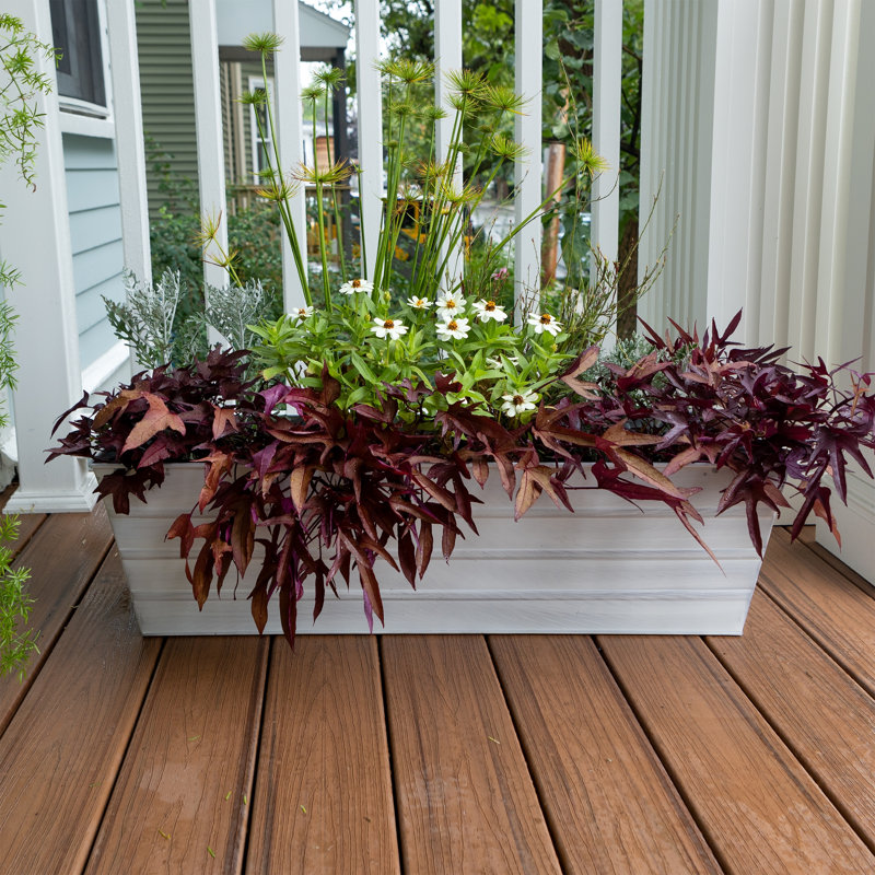 Drennon Handmade Window Box Planter, Cape Cod White