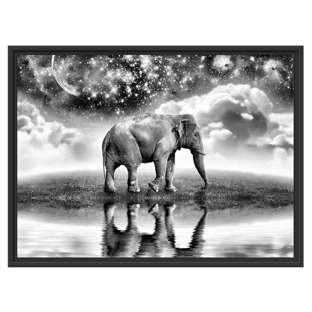 Gerahmtes Wandbild Elefant, Wiese, Himmel, Afrika