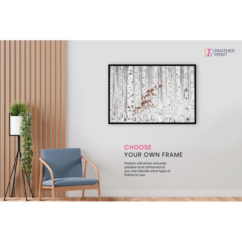 Winter Birch Wood Trees - No Frame Print, 20cm H x 31cm W